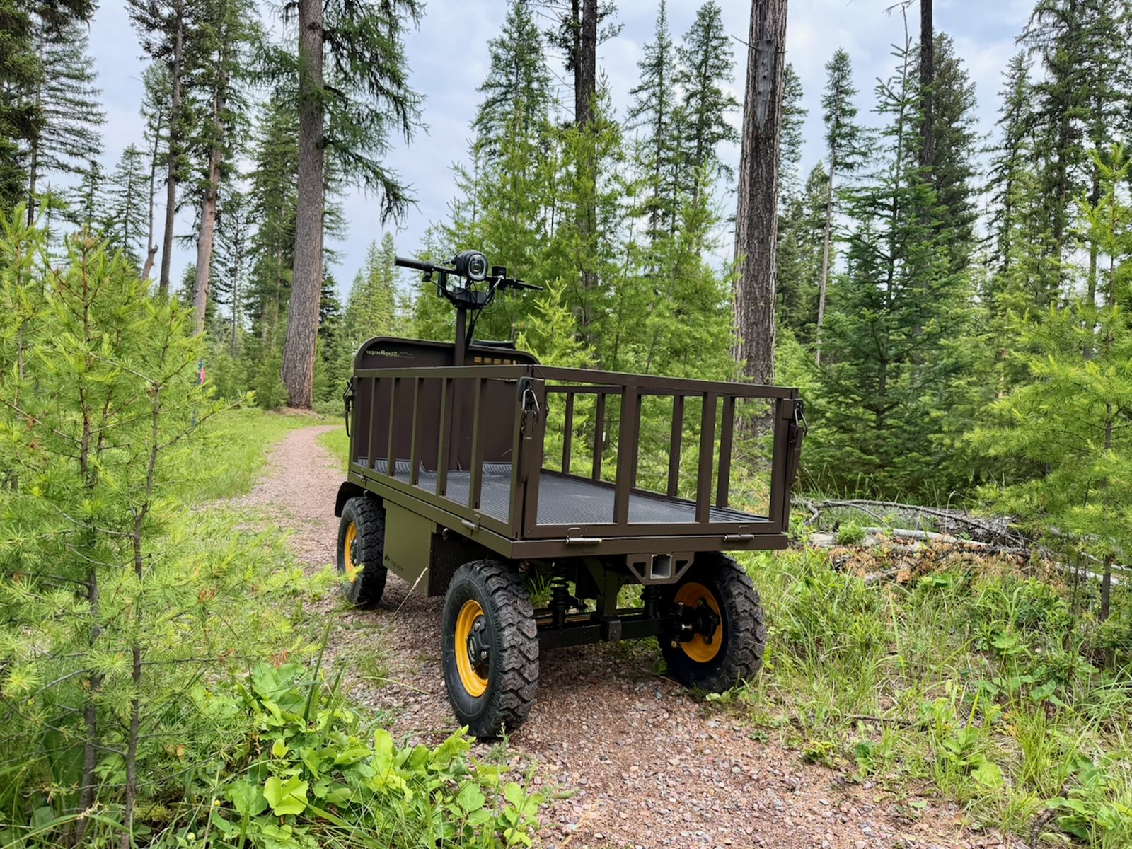 StepRanger Pro 60V in Loam on a forest trail