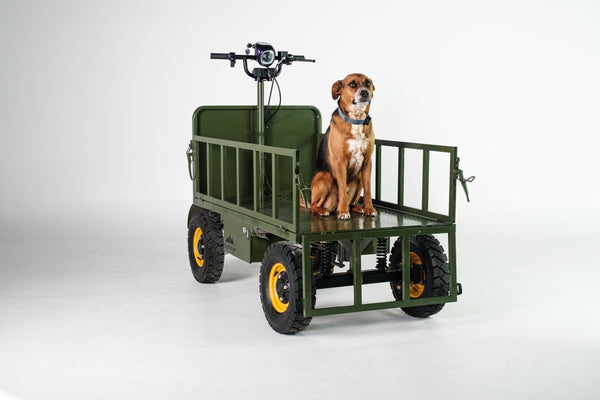 StepRanger All-Terrain