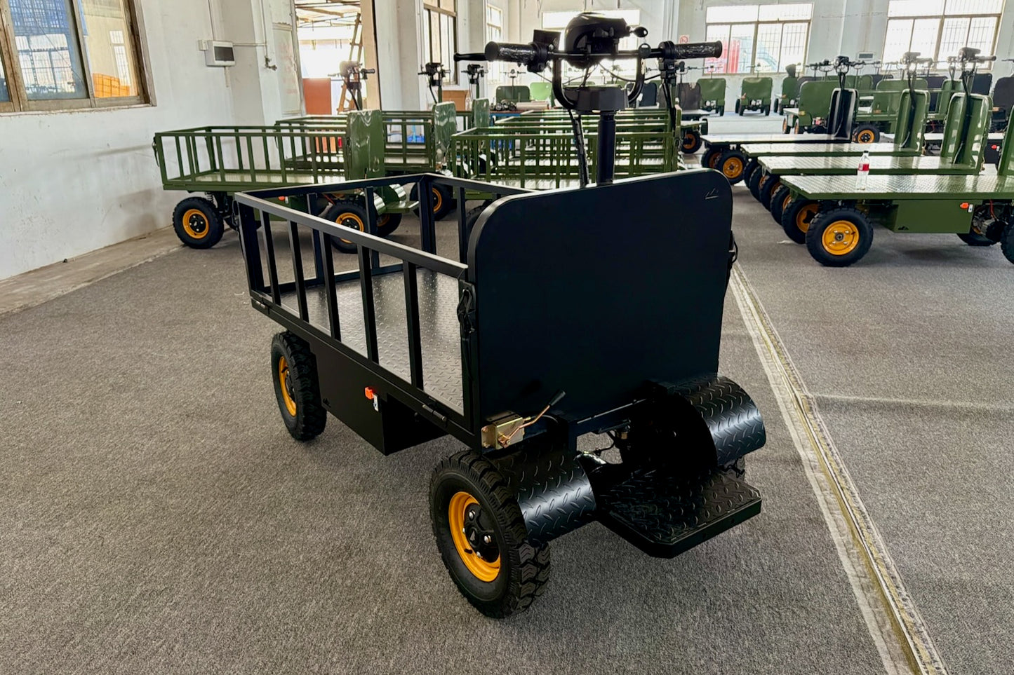 StepRanger Pro 48V