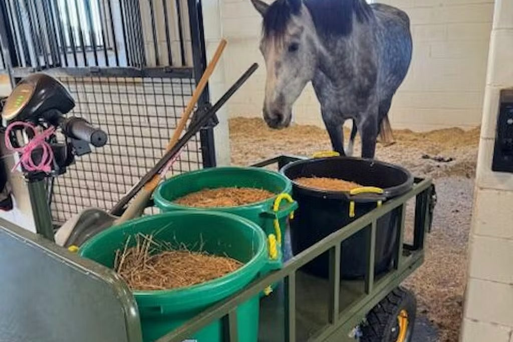 Stable & paddock