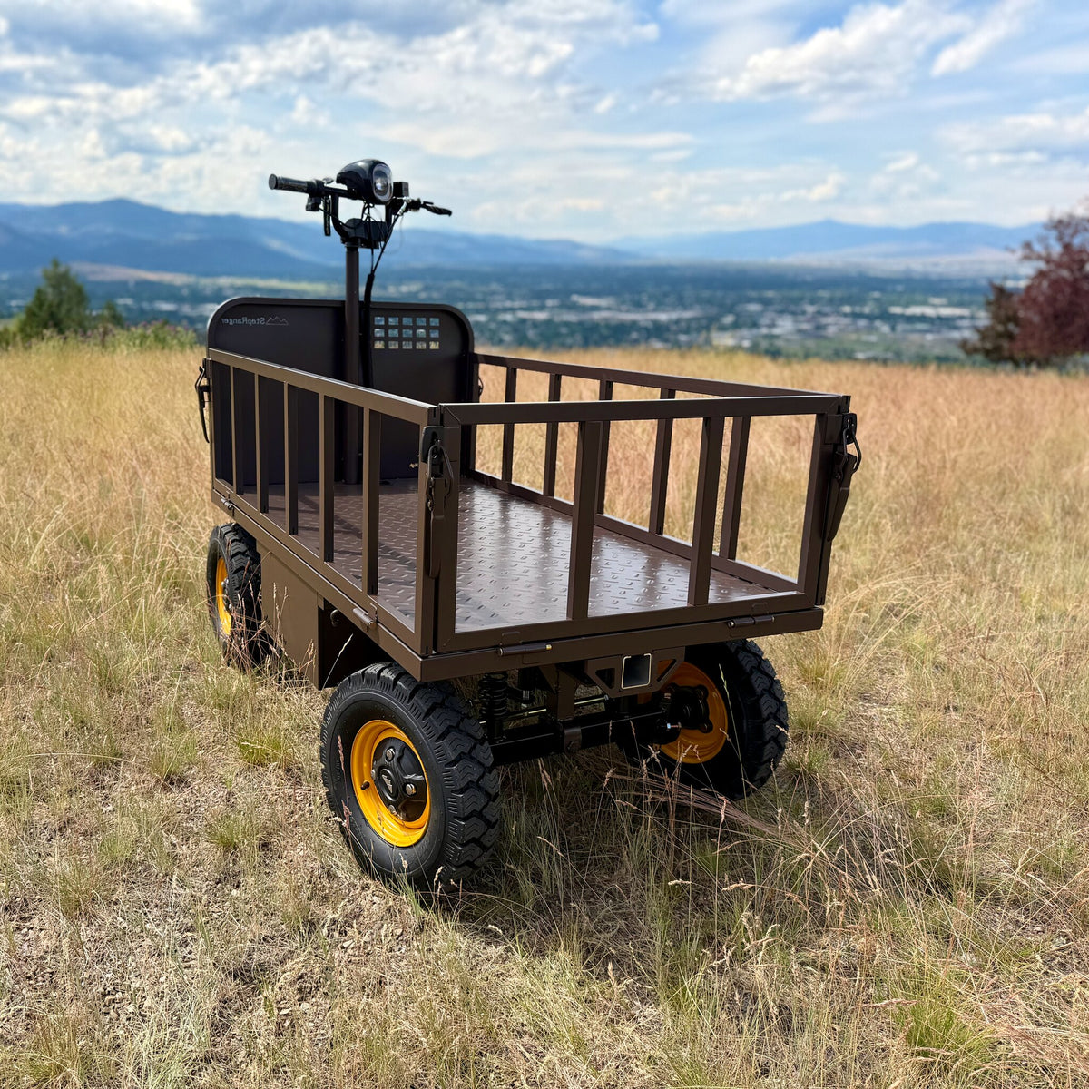 StepRanger Pro 60V in Loam with the cargo cage up, parked on a grassy hilltop above Missoula