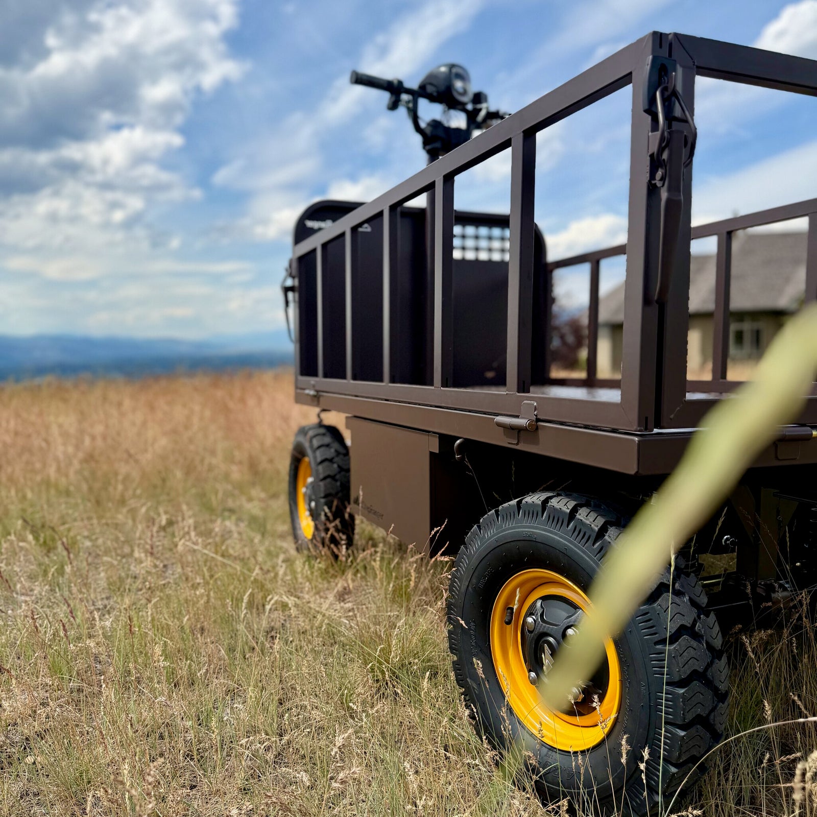 StepRanger Pro 60V